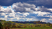 Storm Rolling In Photograph by Gina Fitzhugh Storm Rolling In Photograph by Gina Fitzhugh