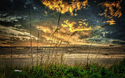 Stormy Beach Photograph by DB Hayes