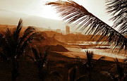 Stormy weather with palm trees on the beach in sepia color Photograph by Severija Kirilovaite