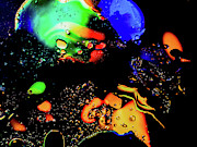 Strange Magic Photograph by Terry Walsh
