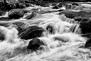 Stream in the Smokies III Photograph by Jon Glaser
