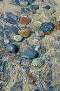 Streaming Abstract  Photograph by Kathi Mirto