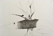 Strelitzia cross Banksia Painting by Franci Hepburn