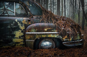 Stuck In The Pines Photograph by Doug Sturgess