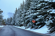 Suburban Snowscapes - Park City's Enchanting Pine-Lined Roads Photograph by Brigitte Blanchette Thompson Suburban Snowscapes - Park City's Enchanting Pine-Lined Roads Photograph by Brigitte Blanchette Thompson