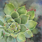 Succulent Beauty - Vibrant Watercolor Painting Painting by Olga Shvartsur