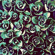 Succulent Plant Leaves Digital Art by Phil Perkins