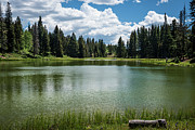 Summer at Lagunitas Photograph by Mary Lee Dereske
