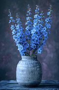 Summer Blues Digital Art by Mia Thompson