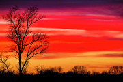 Summer fire Photograph by Rudy Viereckl Summer fire Photograph by Rudy Viereckl