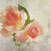 Summer Roses 2 Photograph by Karen Lynch