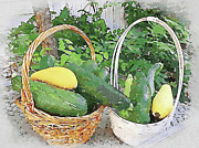 Summer Squash Harvest Mixed Media by Shelli Fitzpatrick Summer Squash Harvest Mixed Media by Shelli Fitzpatrick