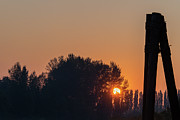 Summer sunrise Photograph by Cindy Shebley Summer sunrise Photograph by Cindy Shebley