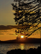 Sun Going Down Photograph by Leslie Brashear