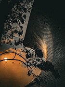 Sun Setting at the Soumaya Photograph by Leslie Brashear