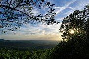 Sun Through Trees Photograph by Phil Perkins Sun Through Trees Photograph by Phil Perkins