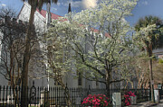 Sunday Morning in Charleston South Carolina in the Spring Photograph by Dale Powell Sunday Morning in Charleston South Carolina in the Spring Photograph by Dale Powell