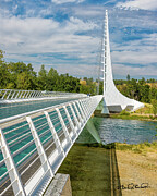 Sundial Bridge by Calatrava where nature meets art Photograph by Steven Dos Remedios