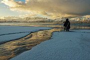 Sundown in Ramberg beach, Lofoten Photograph by Dubi Roman