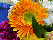 Sunflower Painting by DC Langer Sunflower Painting by DC Langer