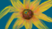 Sunflower Rays of Hope and Peace Photograph by Iris Richardson