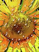 Sunflower Tears Mixed Media by Shelli Fitzpatrick Sunflower Tears Mixed Media by Shelli Fitzpatrick