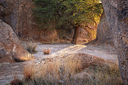 Sunlight City of Rocks New Mexico Photograph by Mary Lee Dereske