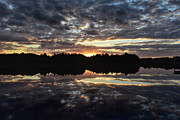 Sunrise at Green Cay in Boynton Beach Florida Photograph by David McKinney Sunrise at Green Cay in Boynton Beach Florida Photograph by David McKinney