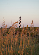Sunrise at the cape Photograph by Stacy Abbott