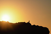 Sunrise Bird Silhouette Photograph by Matthew DeGrushe Sunrise Bird Silhouette Photograph by Matthew DeGrushe