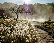 Sunrise fog  Photograph by Jim Mathis