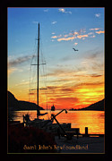 Sunrise in Newfoundland Photograph by Tatiana Travelways