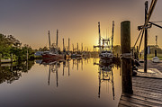 Sunrise in the Bayou Photograph by Brad Boland