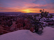 Sunrise on Rim Trail Photograph by Edgars Erglis Sunrise on Rim Trail Photograph by Edgars Erglis