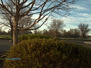 Sunrise on Sunnywood Photograph by Richard Thomas