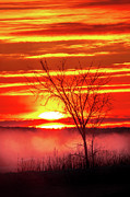 Sunrise Sugar Island Michigan Photograph by Norris Seward