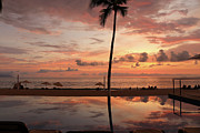 Sunset and Palm Tree Silhouette Photograph by Brigitte Blanchette Thompson Sunset and Palm Tree Silhouette Photograph by Brigitte Blanchette Thompson