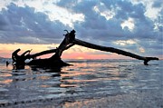 Sunset at Beach Level Photograph by Donald Sawin