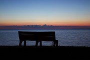 Sunset at the Park Photograph by Yvonne M Smith