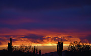 Sunset Breeze Photograph by Jake Walker Sunset Breeze Photograph by Jake Walker