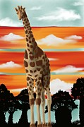 Sunset Giraffe Digital Art by Angrulla MF