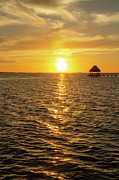 Sunset in Belize Photograph by Cindy Robinson