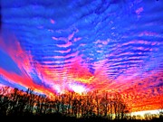 Sunset in Bloom Photograph by Angela Brunson Sunset in Bloom Photograph by Angela Brunson