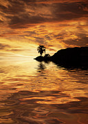 Sunset in Paradise Photograph by Elisabeth Lucas