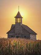 Sunset in the Corn Field Photograph by Darren White