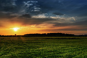 Sunset in the field. Photograph by Dejan Travica Sunset in the field. Photograph by Dejan Travica