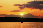 Sunset Pop Photograph by Amy Dundon
