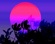 Sunset Purple Sky Mangrove Silhouettes Drawing by Joan Stratton Sunset Purple Sky Mangrove Silhouettes Drawing by Joan Stratton