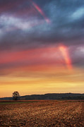 Sunset rainbow Photograph by Dejan Travica Sunset rainbow Photograph by Dejan Travica