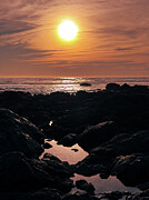 Sunset Reflection Photograph by Leslie Brashear